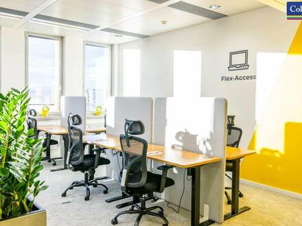 Flexible Workspaces in der Wagenseilgasse | andys.cc | provisionsfrei
