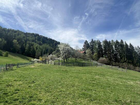 *** kleine Landwirtschaft mit Stallgebäude & Blockhaus ***