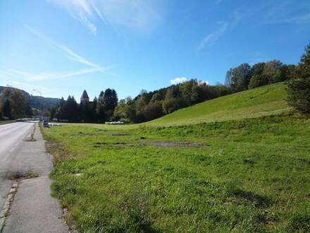 BETRIEBSBAUGRUND AN DER WECHSELBUNDESSTRASSE!