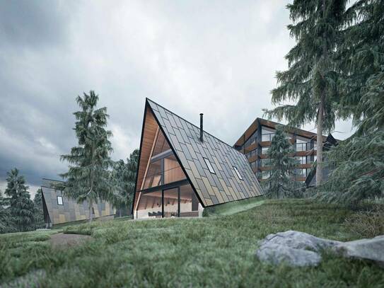 Buy-to-Let Alpine Lodges