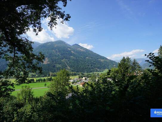 15000m²- Wald, Wiese, Grund