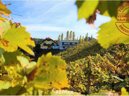 Weingut mit Gästezimmer, drei Betriebswohnungen in Leutschacher Aussichtslage PROVISIONSFREI