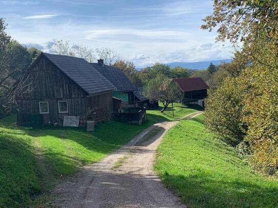 Landwirtschaft in absoluter Ruhe- und Alleinlage Nähe St. Johann im Saggautal (Steirische Toskana)