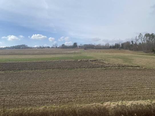 Koffer packen, einziehen und wohlfühlen im sonnigen Ollersdorf im BGLD.