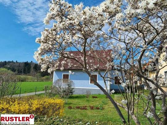 Handwerker-Traum !! Entzückendes kleines Anwesen in Kirchbach