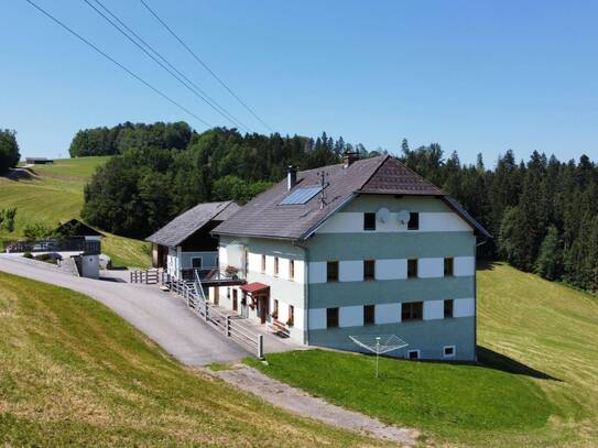 Großes Bauernhaus in Alleinlage mit 8ha Grund