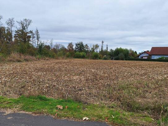 Perfekte Gewerbefläche in Bad Radkersburg - 7874m² für effizientes Gewerbe