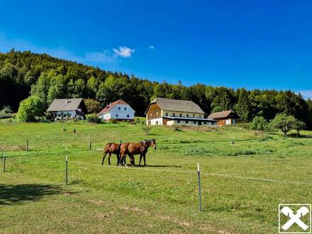 Ein Traum für Pferdeliebhaber im Süden Kärntens