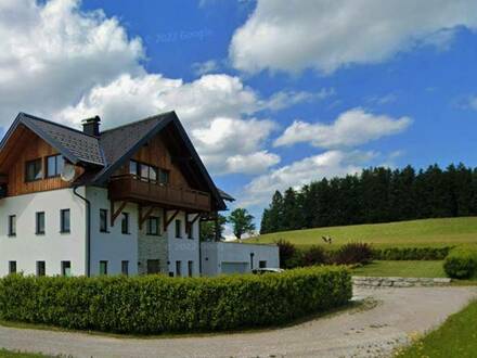 Moderne, großzügige 2-Zi Whg. mit Garten und 3 PKW-Abstellplätzen in 3 Parteien Haus