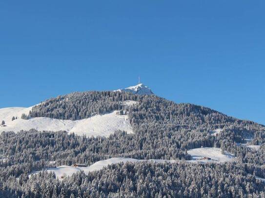 Objekt Nr.: P1150 - Pillerseetal: GENEHMIGTER FREIZEIWOHNSITZ: Altbestand in traumhafter Südlage mit großem Grundstück