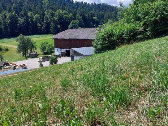 Verkaufe LANDWIRTSCHAFT mit ca. 25 ha in Toplage!