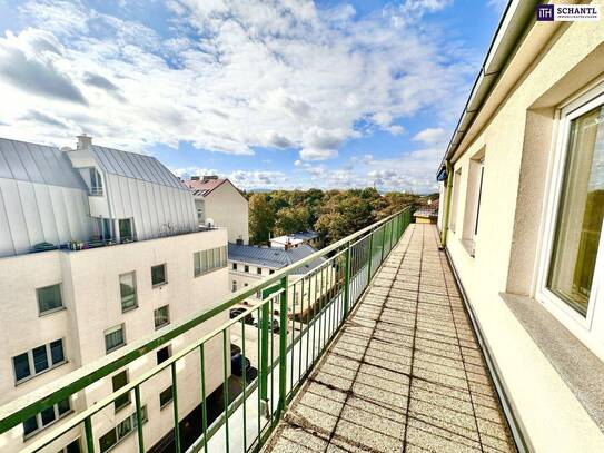 WOW Dachterrassenwohnung mit Cityview ++ 3-Zimmerwohnung mit Rundum-Terrasse ++ Top Lage ++ 15 Minuten bis zum Stephans…