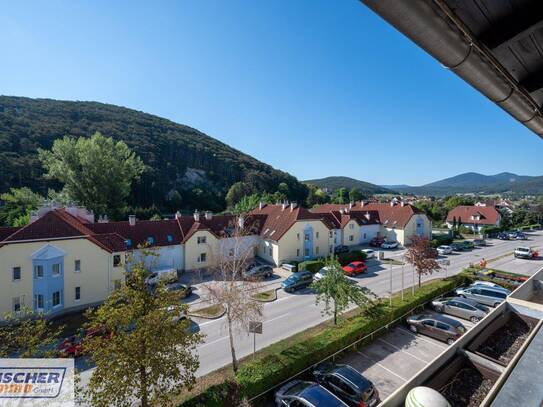 2 Zimmer Wohnung mit Loggia