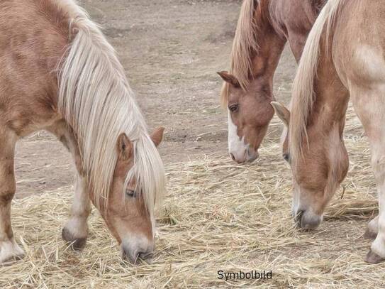 Stark Preisreduziert! Bauernhof-Pferdehaltung-Schnapsbrennrecht ca. 2.938 m²