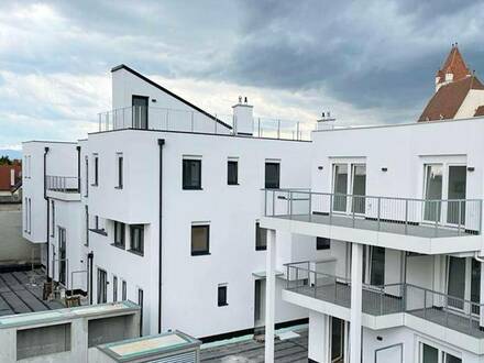 Traumhafte Dachterrasse mit Blick über Eisenstadt