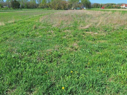 Grünes Paradies zum Kaufen: Landwirtschaft in Niederösterreich