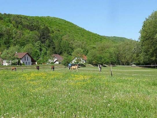 GEPFLEGTES SONNIGES EIGENHEIM IN ALLAND/SACKGASSE!