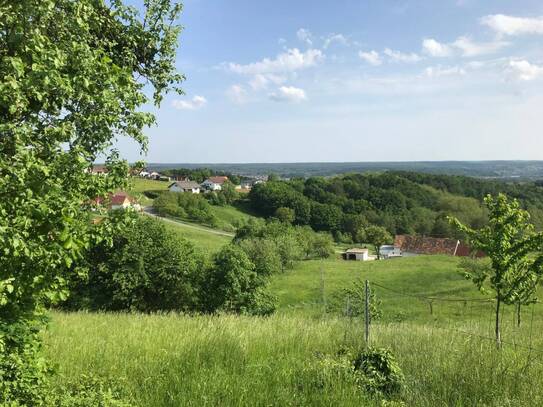 Großes Grundstück mit altem Winzerhaus