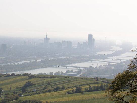 Idyllisch residieren in historischem Ambiente oben am Kahlenberg ! RARITÄT