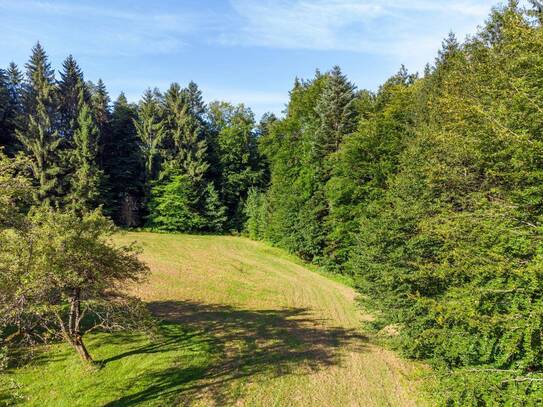 Ruhiges Domizil unweit von Graz - Grundstück mit Einfamilienhaus und Wald