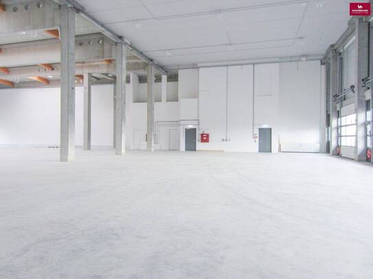 Lagerhalle 650 m2 mit Büro 300 m2 Kombination südlich von Wien, in Wr. Neudorf