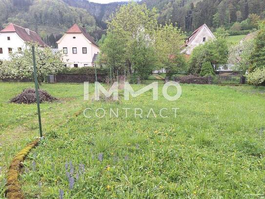 Wohnen und arbeiten in nächster Nähe der Kartause Gaming mit großem angeschlossenem Garten