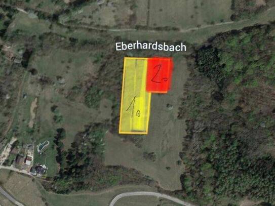 Verwilderter, mit alten Sorten bestückter Obstgarten im Moment als Wald gewidmet mit RODUNGSBESCHEID