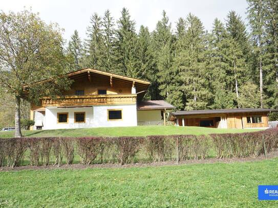 Natur pur - Haus im Drautal