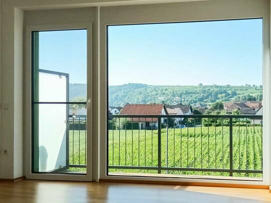 Traumausblick! Schöne 2-Zimmer-Wohnung mit Balkon