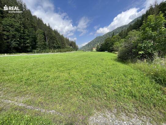 Wald, Wiese und Leitungsrecht