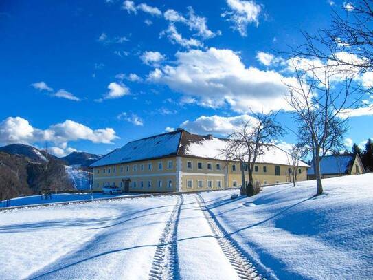 Land & Gut: Historischer Vierkanthof in Allein- & Aussichtslage