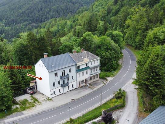 WOHNHAUS FÜR EINE GROSSE FAMILIE - am Semmering