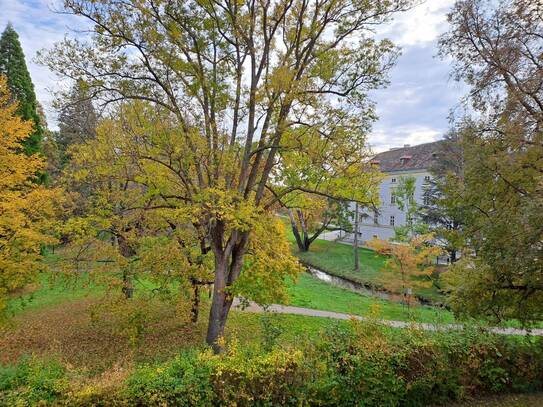 3 Zimmer am Schlosspark - renovierungsbedürftig