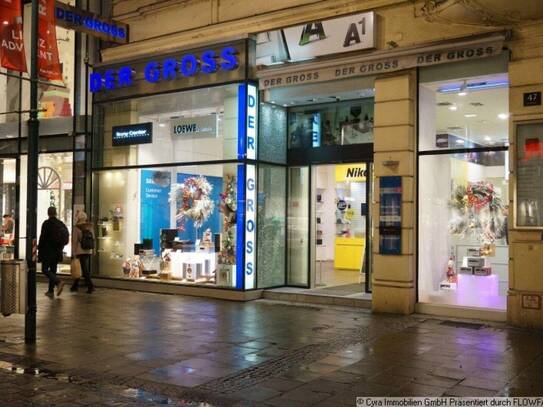 Geschäftsfläche in AAA-Lage der Linzer Landstrasse