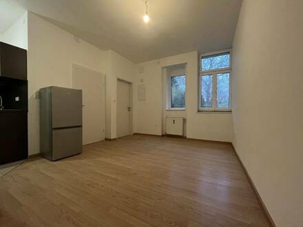 1-Zimmerwohnung in der Herzogenberggasse