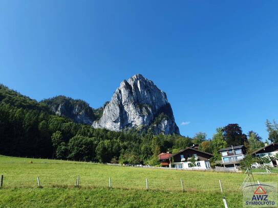 Bergbauernhof in Alleinlage!