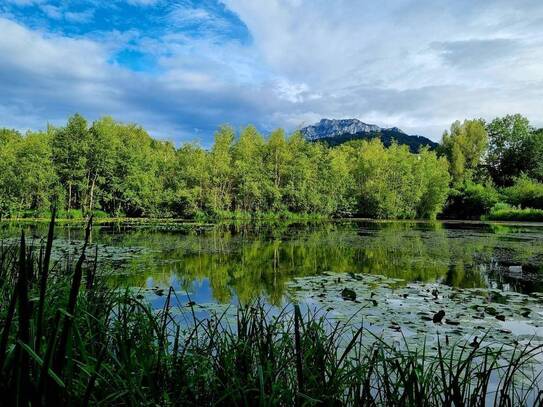 Gepflegtes Haus mit 3 Wohnungen in absoluter Ruhelage in Gmunden!