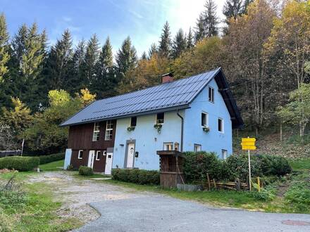 Großes Wohnhaus in idyllischer Ruhelage nähe Hermagor