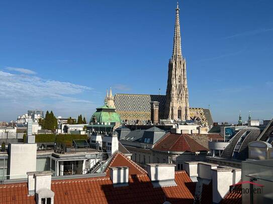 Moderne Dachgeschosswohnung (Maisonette) mit großer Dachterrasse und einzigartigem Ausblick auf den Stephansplatz