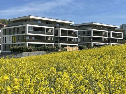 Sonnige 4-Zimmer-Gartenwohnung mit Fernblick in Wartberg ob der Aist