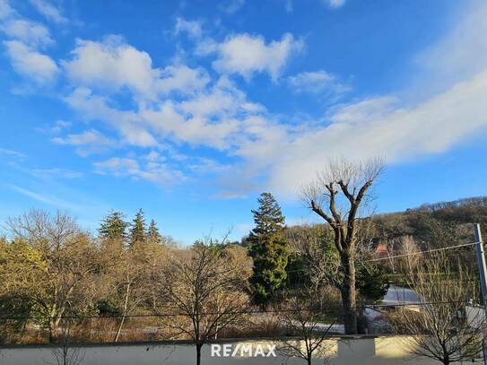 ALT-HIETZING - BLICK IN DEN SCHLOSSPARK SCHÖNBRUNN - BÜRO- ODER PRAXISRAUM