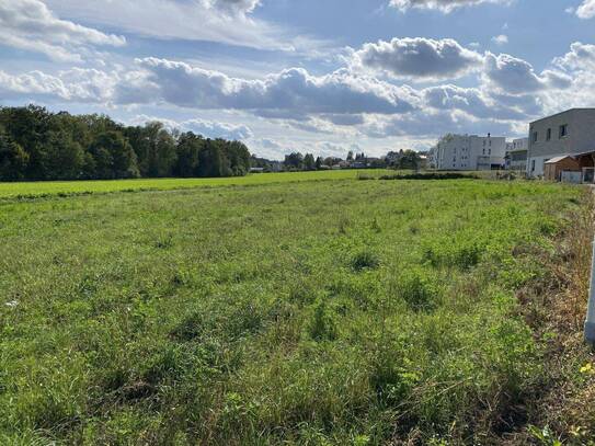 Eigenheim jetzt sichern, Traumimmobilie in St. Marien, Oberösterreich - Haus 3 Lavendelweg