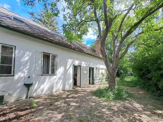 Bauträger oder Liebhaber: ehemaliges Winzerhaus