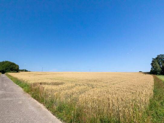 Landwirtschaftliche Fläche - Acker