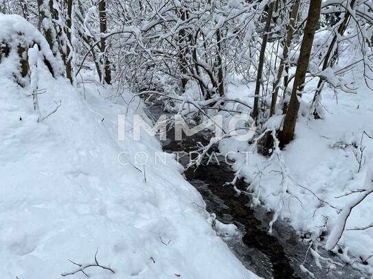 Erholung pur im eigenen Wald mit Bach und Wiese