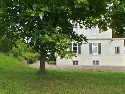 Historische Altbau-Villa, sonnige 4ZI+Garten, 2 Parkplätze