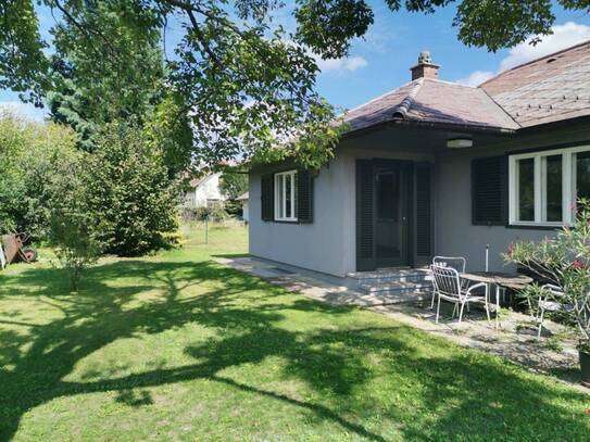 Sonnendurchfluteter Bungalow in Strasshof 9 Zi, 2 Terrassen, Stellplätze, romantischer Garten - in MIETKAUF