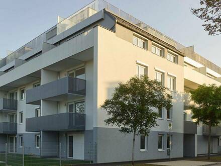 3-Zimmer-Dachterrassenwohnung - Neubau - Komplettküche - Kellerabteil - Akademieparknähe / CQ4-34