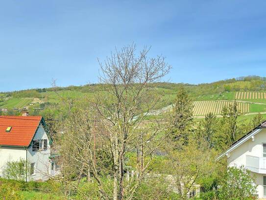 TRAUMVILLA IN KLOSTERNEUBURG - LUXURIÖSES WOHNEN MIT POOL UND BLICK AUF DIE WEINBERGE.