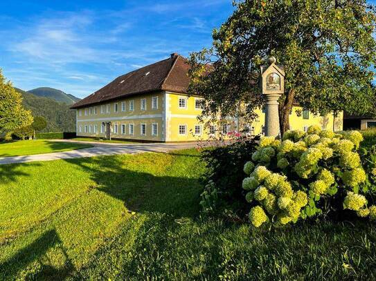 Land & Gut: Historischer Vierkanthof in Allein- & Aussichtslage